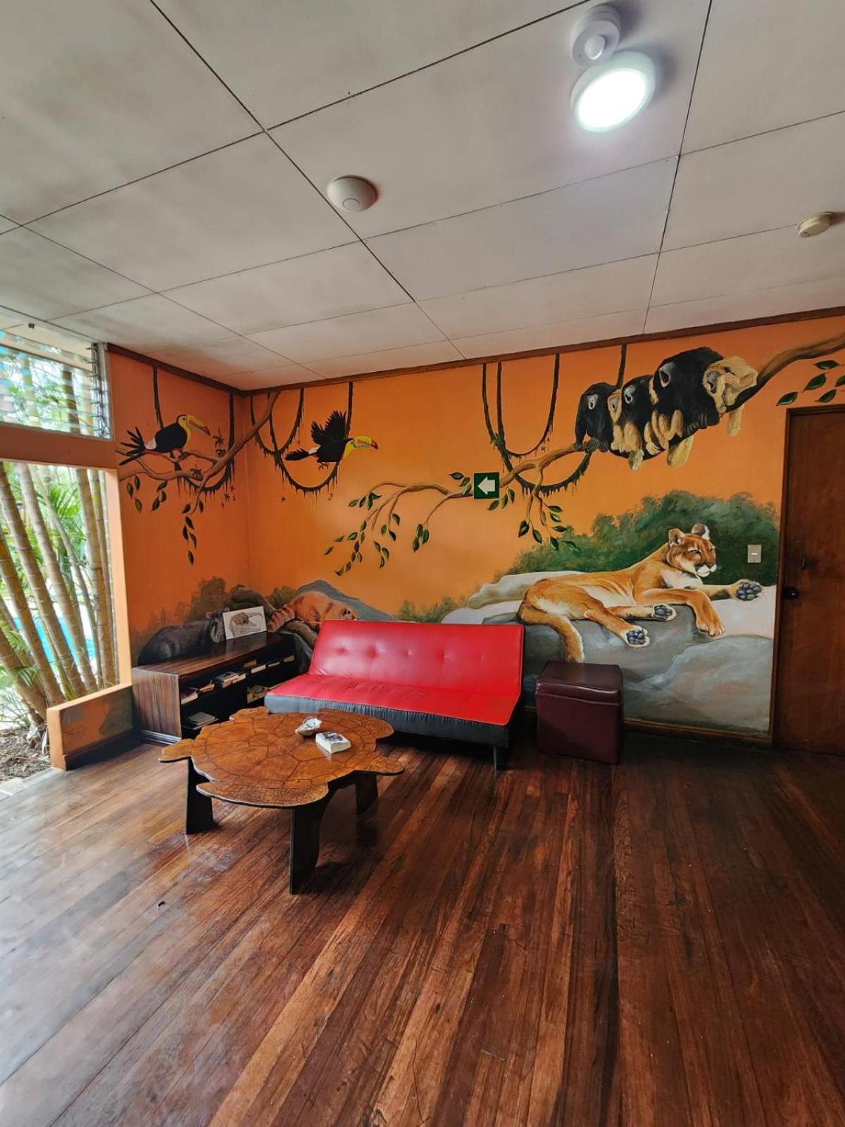Hostel Costa Rica Backpackers San José Exterior foto